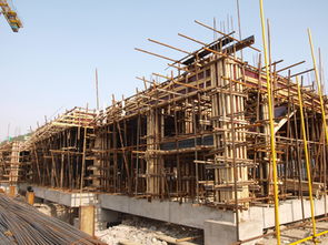 新校建設(shè)施工現(xiàn)場系列報(bào)道之一 基礎(chǔ)施工篇